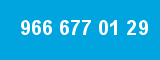 966 677 01 29